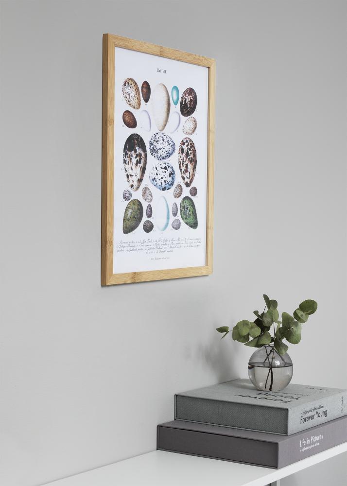 Raam Hoei Bambu 50x70 cm - paspartuu Valge 40x60 cm