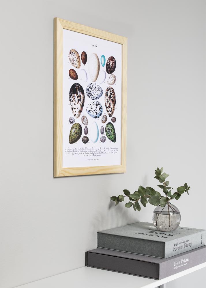 Raam Trendline Loodus 60x60 cm - paspartuu Valge 50x50 cm