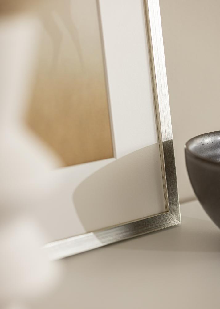 Raam Edsbyn Hõbedane 40x45 cm - paspartuu valge 11x13 tolli