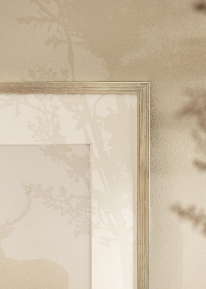 Raam Edsbyn Hõbedane 40x45 cm - paspartuu valge 11x13 tolli