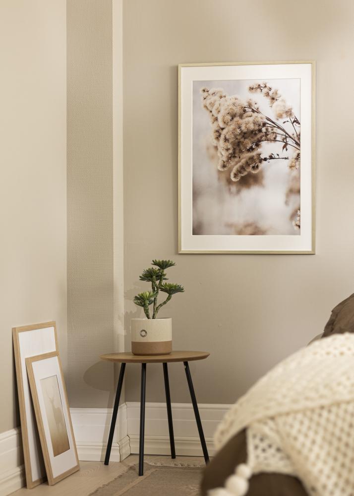 Raam Edsbyn Hõbedane 40x45 cm - paspartuu valge 11x13 tolli