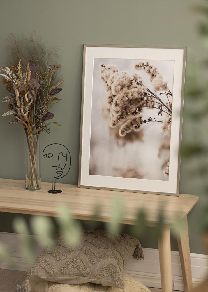 Raam Edsbyn Hõbedane 40x45 cm - paspartuu valge 11x13 tolli