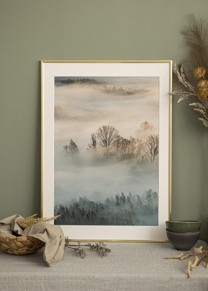 Raam New Lifestyle Kuldne 20x20 cm - paspartuu Valge 15x15 cm