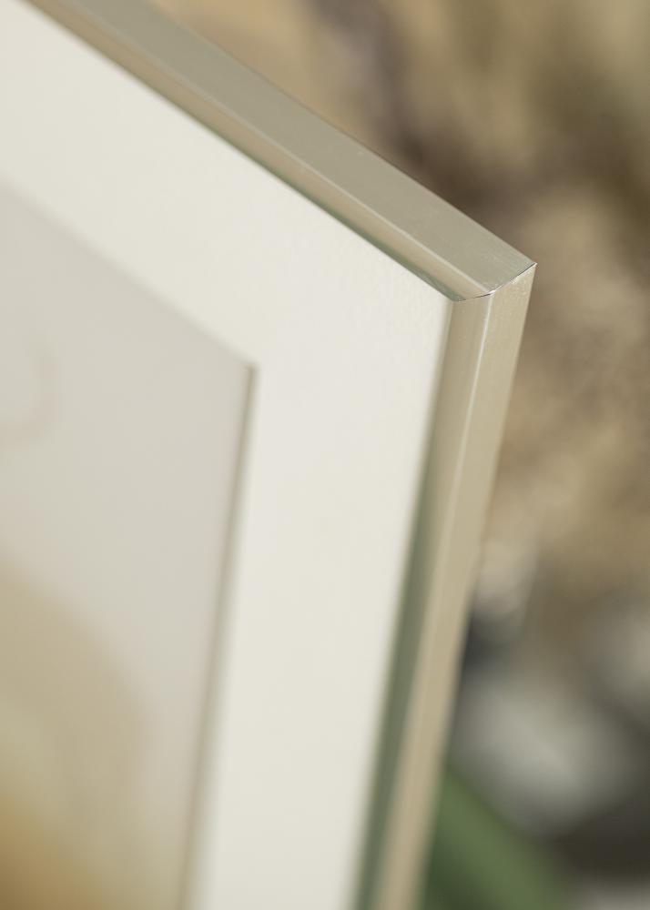 Raam New Lifestyle Hõbedane 10x18 cm - paspartuu Valge 8x10 cm