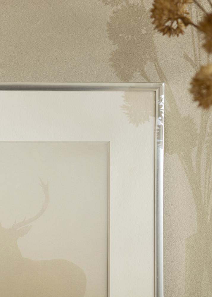 Raam New Lifestyle Hõbedane 10x18 cm - paspartuu Valge 8x10 cm