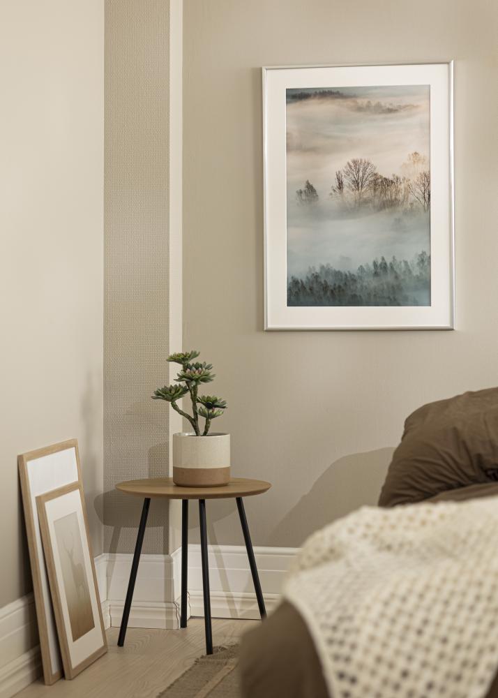 Raam New Lifestyle Hõbedane 10x18 cm - paspartuu Valge 8x10 cm