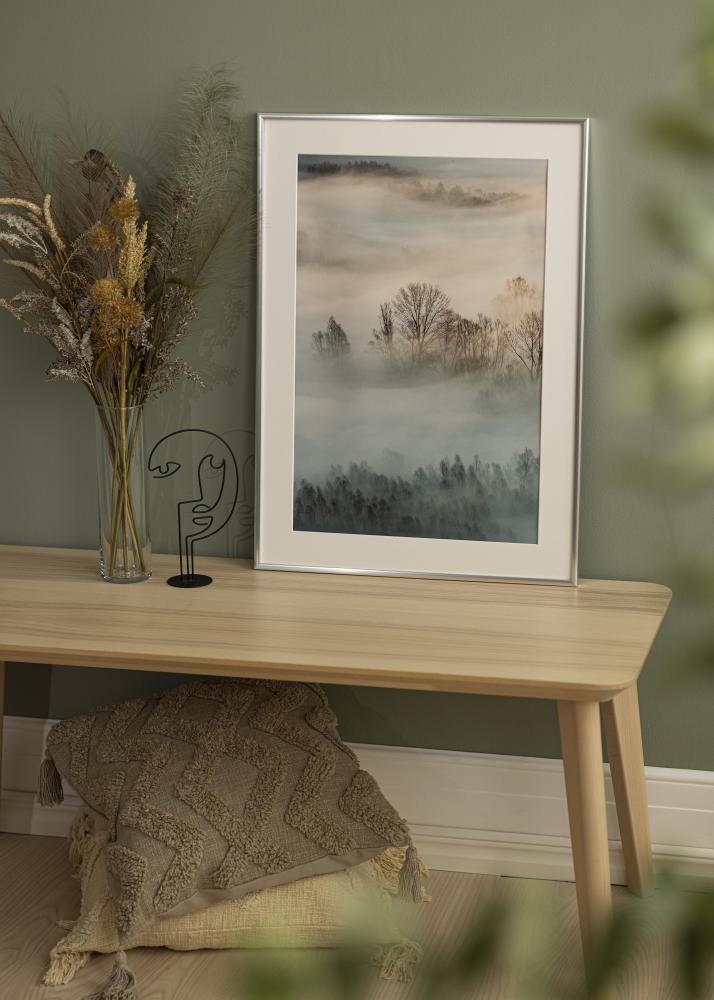 Raam New Lifestyle Hõbedane 10x18 cm - paspartuu Valge 8x10 cm