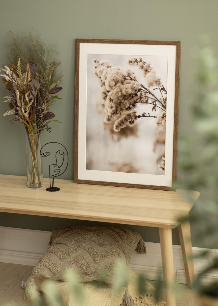 Raam Stilren külm pruun 40x50 cm - paspartuu valge 29,7x42 cm