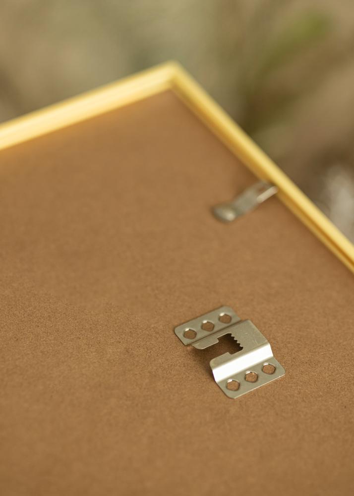 Raam New Lifestyle Kuldne 60x90 cm - paspartuu Valge 50x75 cm