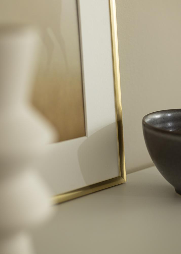 Raam New Lifestyle Kuldne 60x90 cm - paspartuu Valge 50x75 cm