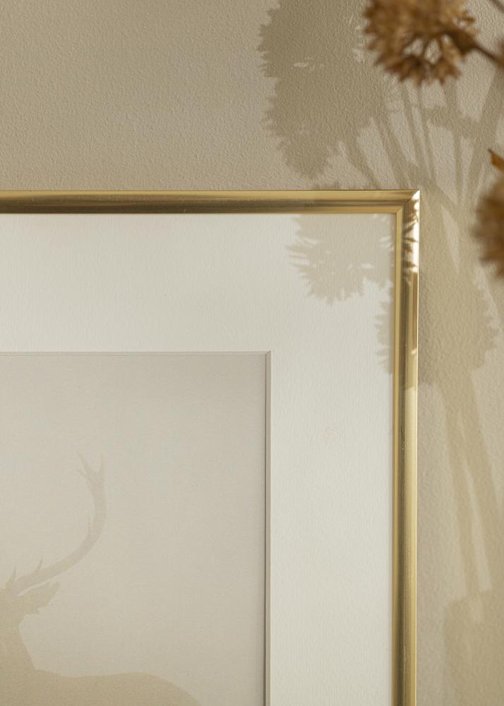 Raam New Lifestyle Kuldne 60x90 cm - paspartuu Valge 50x75 cm