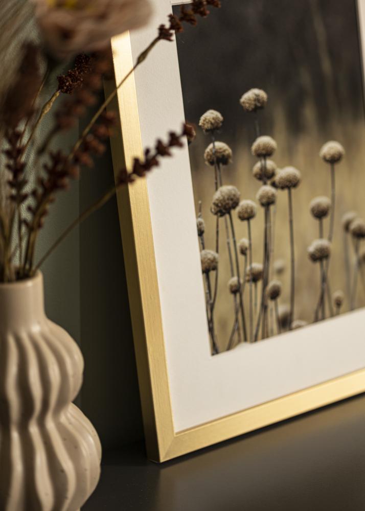 Raam Selection Akrüülklaas Kuld 40x100 cm