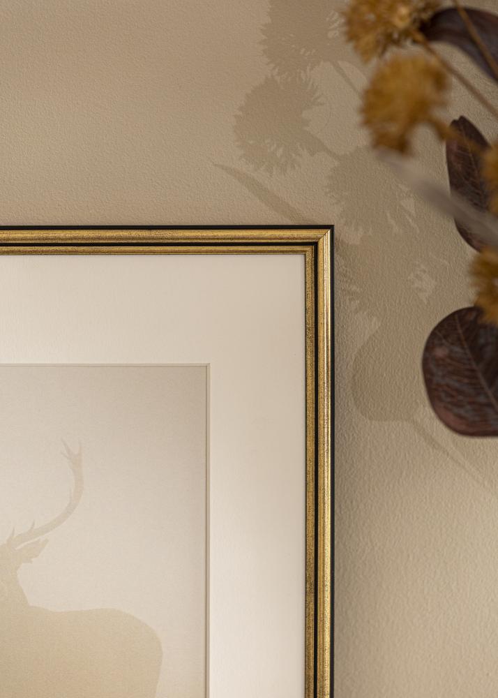 Raam Horndal Akruulklaas kuldne 7x10 cm