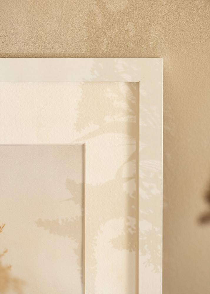 Raam BGA Classic Valge 50x100 cm - paspartuu Valge 40x90 cm