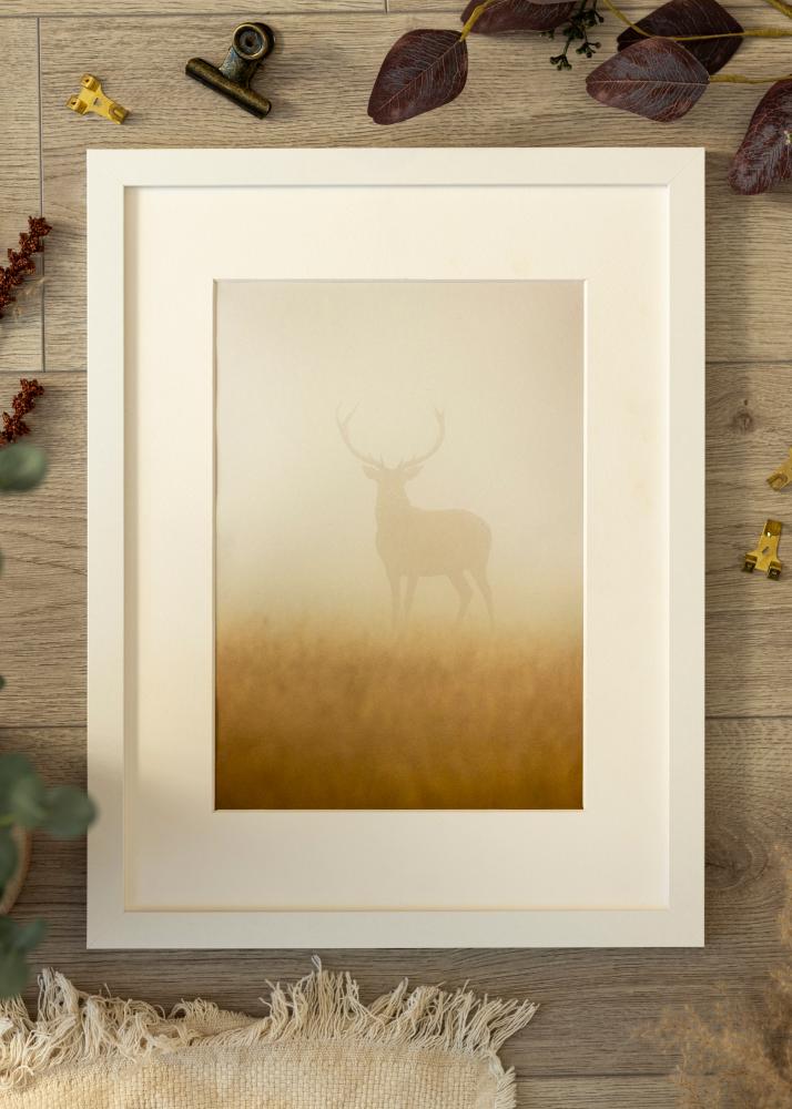 Raam BGA Classic Valge 50x100 cm - paspartuu Valge 40x90 cm