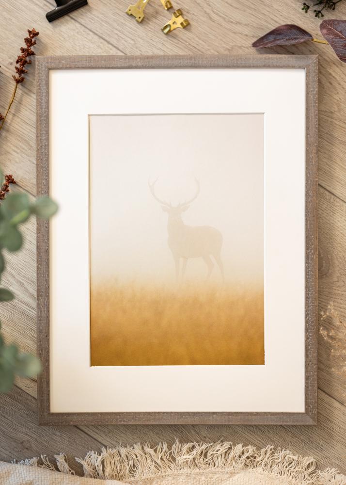 Raam Ares Hall 45x60 cm - paspartuu Valge 32x45 cm