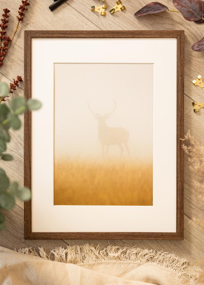 Raam Ares pähkel 28x35 cm - paspartuu Valge 18x25 cm