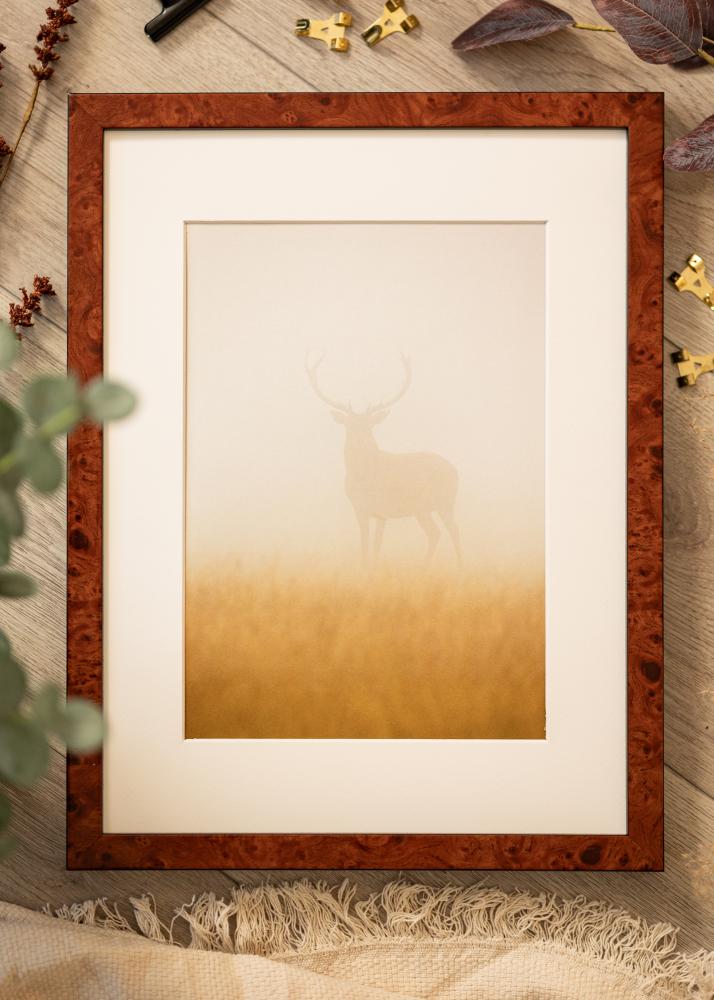 Raam Hermes pähkel 42x59,4 cm - paspartuu valge 25x38 cm