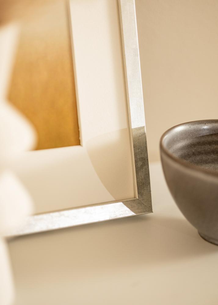 Raam Ares Hõbedane 24x30 cm - paspartuu Valge 7x9 tolli