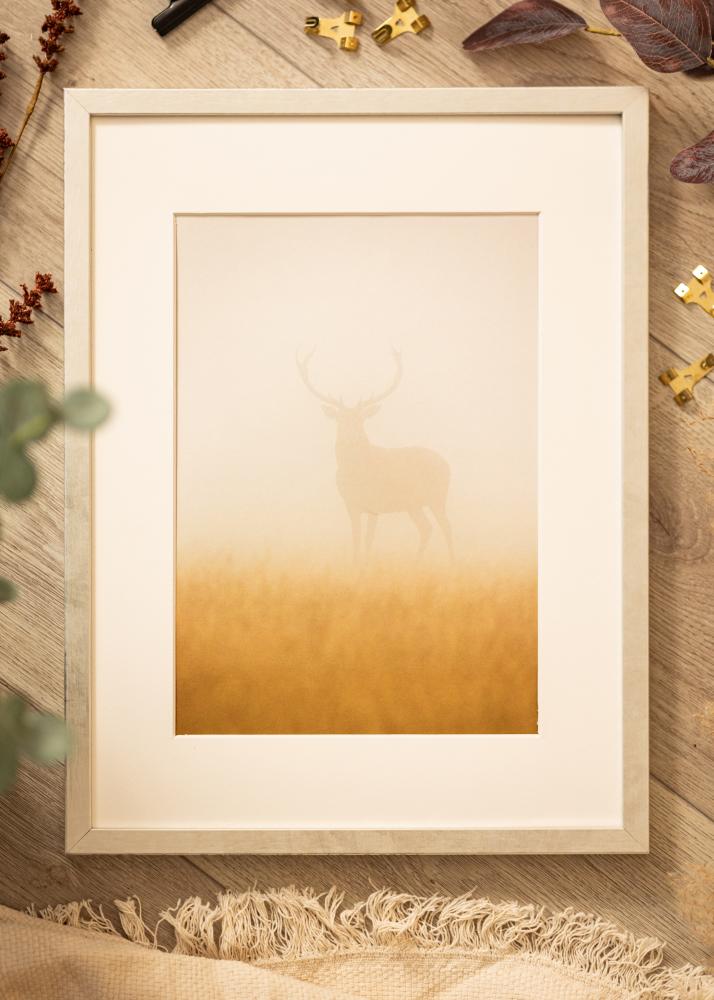 Raam Ares Hõbedane 24x30 cm - paspartuu Valge 7x9 tolli