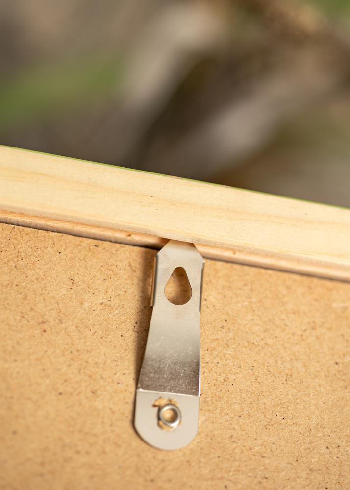 Raam Diana Heleroheline 60x80 cm - paspartuu valge 20x27 tolli