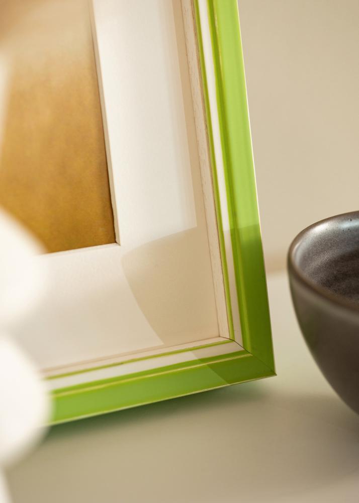 Raam Diana Heleroheline 60x80 cm - paspartuu valge 20x27 tolli