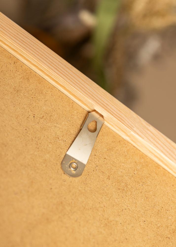 Raam Diana Roosa 20x30 cm - paspartuu Valge 10x21 cm