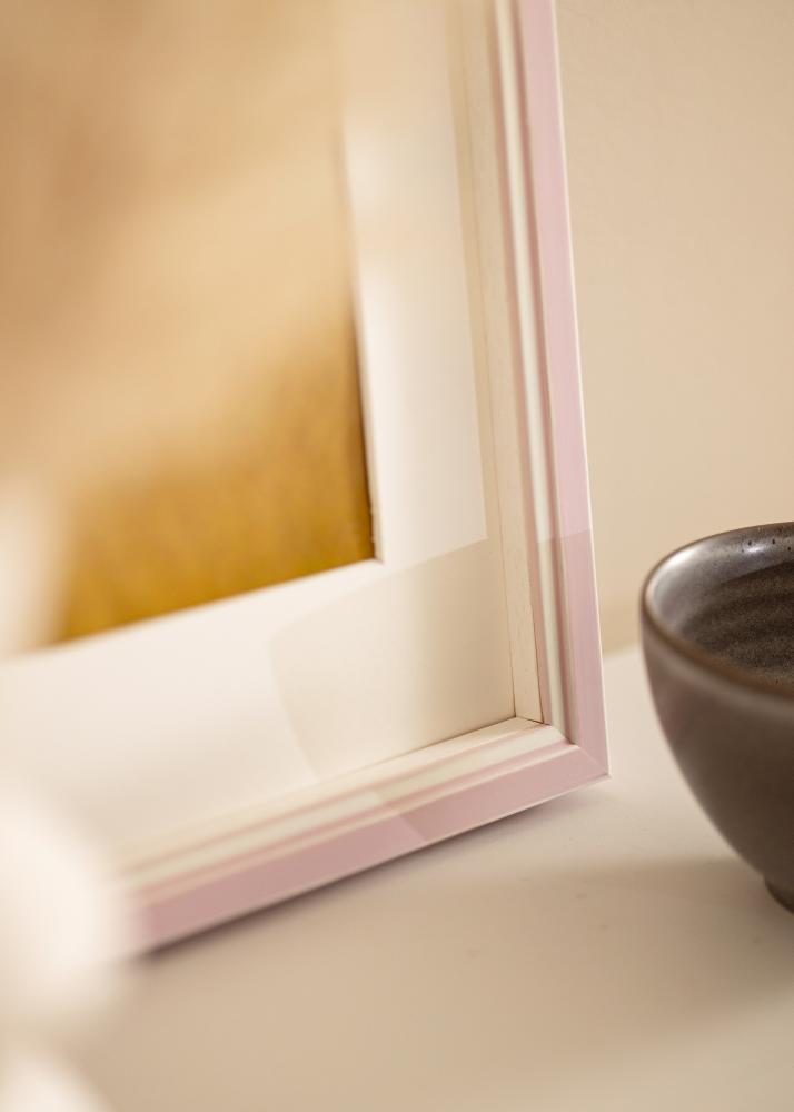 Raam Diana Roosa 20x30 cm - paspartuu Valge 10x21 cm