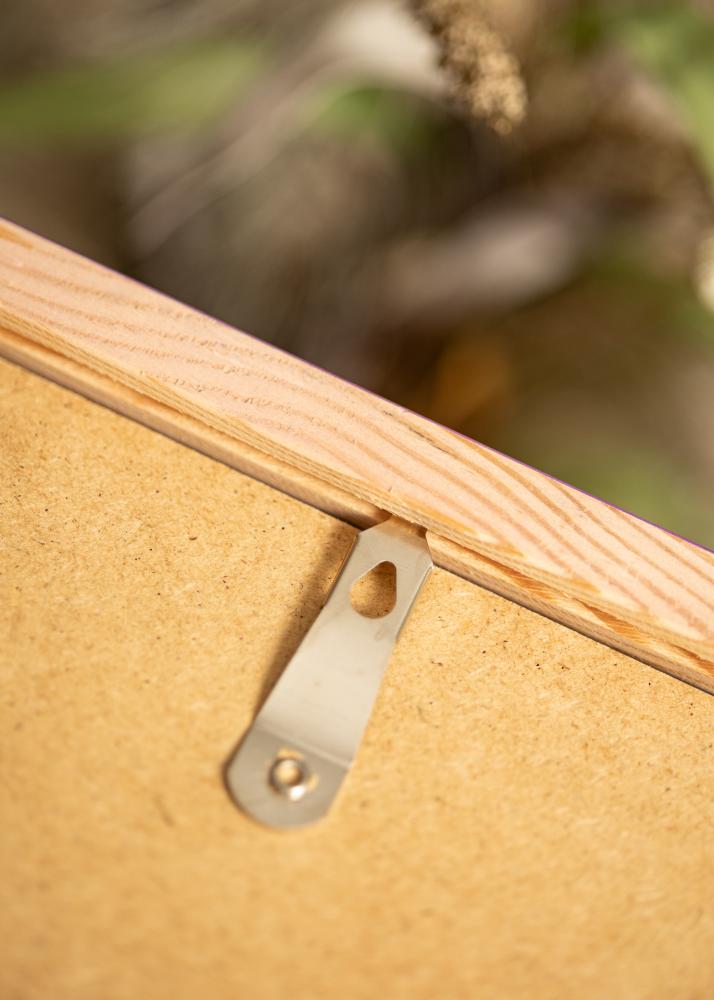 Raam Diana Lilla 45x60 cm - paspartuu Valge 13x18 tolli