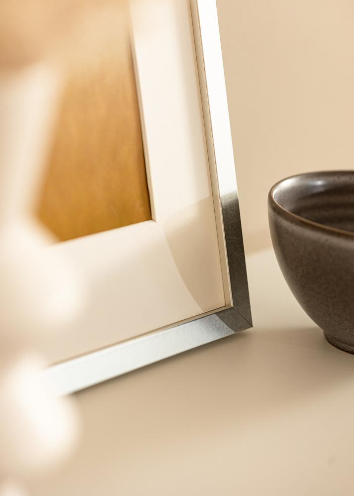 Raam Minerva Hõbedane 50x60 cm - paspartuu Valge 16x19 tolli