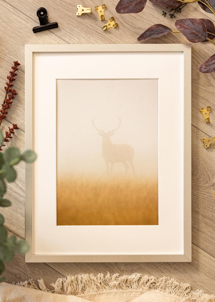 Raam Minerva Hõbedane 50x60 cm - paspartuu Valge 16x19 tolli