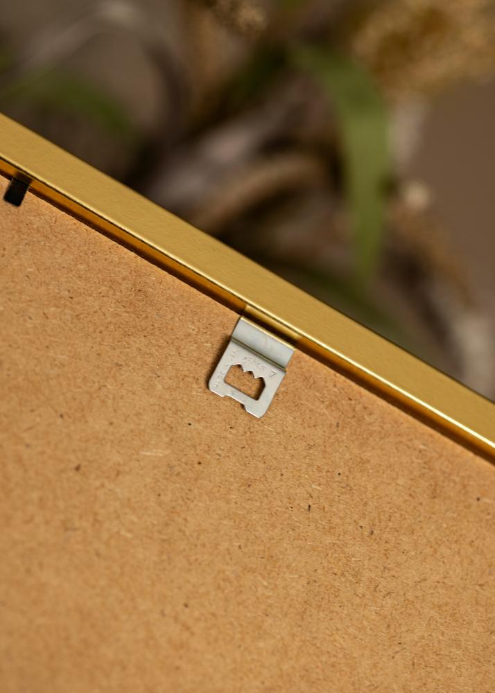 Raam Minerva Kuldne 40x50 cm - paspartuu Valge 28x38 cm