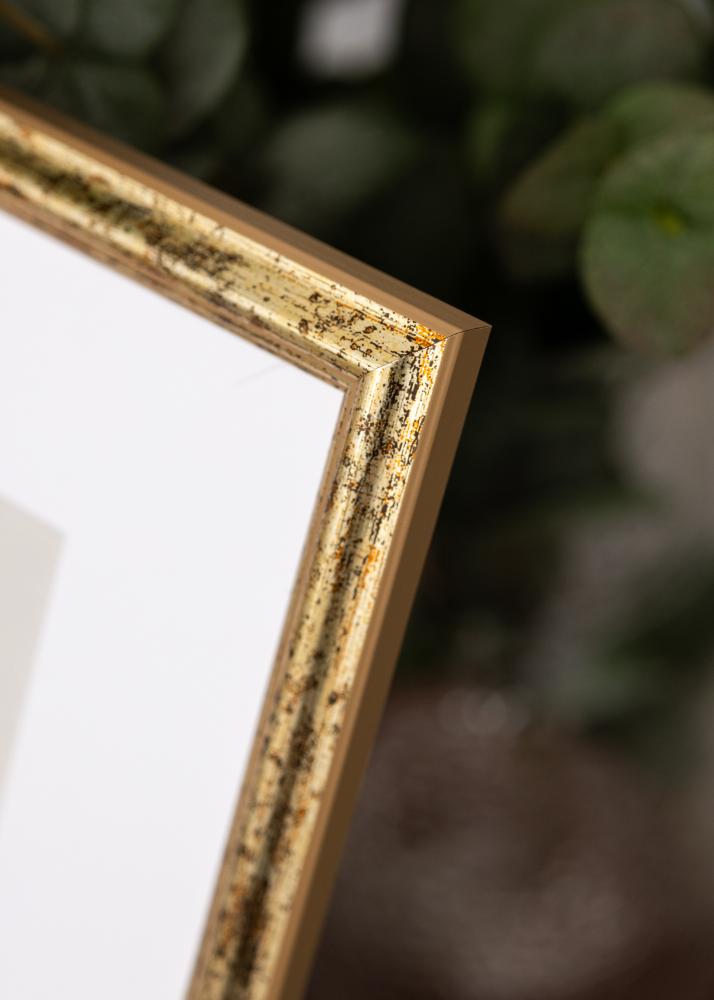 Raam Claudia Akrüülklaas Hõbe 21x29,7 cm (A4)