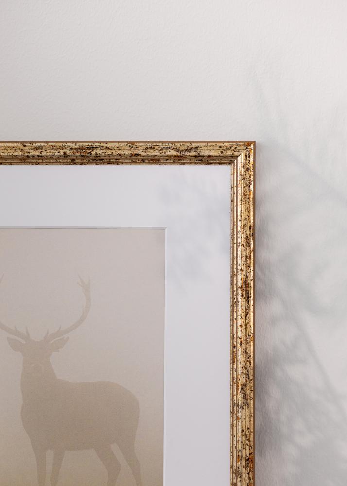 Raam Claudia Akrüülklaas Hõbe 21x29,7 cm (A4)