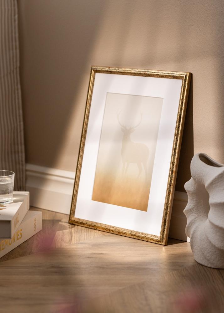 Raam Claudia Akrüülklaas Hõbe 21x29,7 cm (A4)