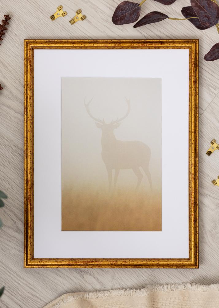 Raam Claudia Akrüülklaas Kuld 21x29,7 cm (A4)