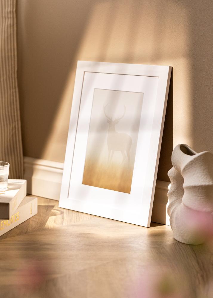 Raam Sandra Akrüülklaas Valge 21x29,7 cm (A4)