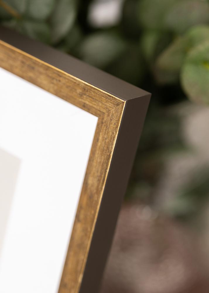 Raam Dune Akryülklaas Kuld 40x60 cm