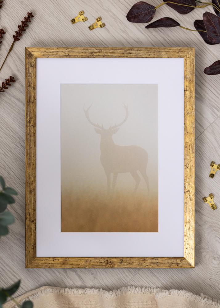 Raam Dune Akryülklaas Kuld 40x60 cm