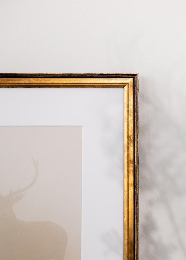 Raam Ringa Akrüülklaas Kuld 59,4x84,1 cm (A1)