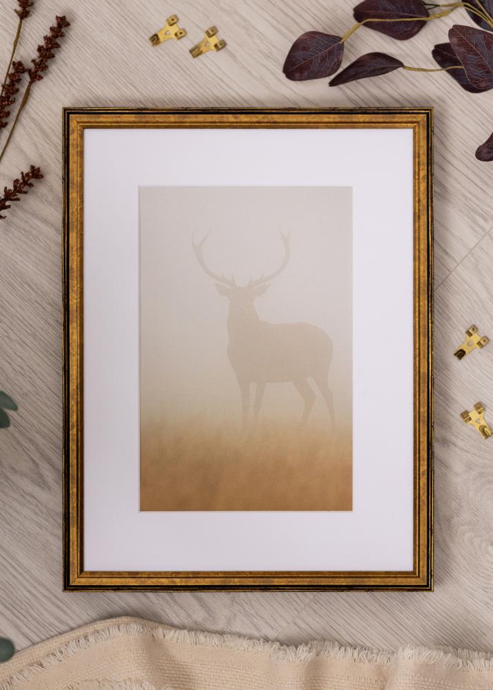 Raam Ringa Akrüülklaas Kuld 59,4x84,1 cm (A1)