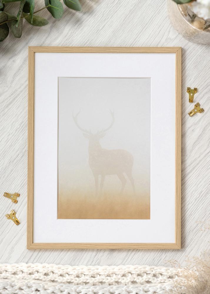 Raam Galant Akruulklaas tamm 50x70 cm