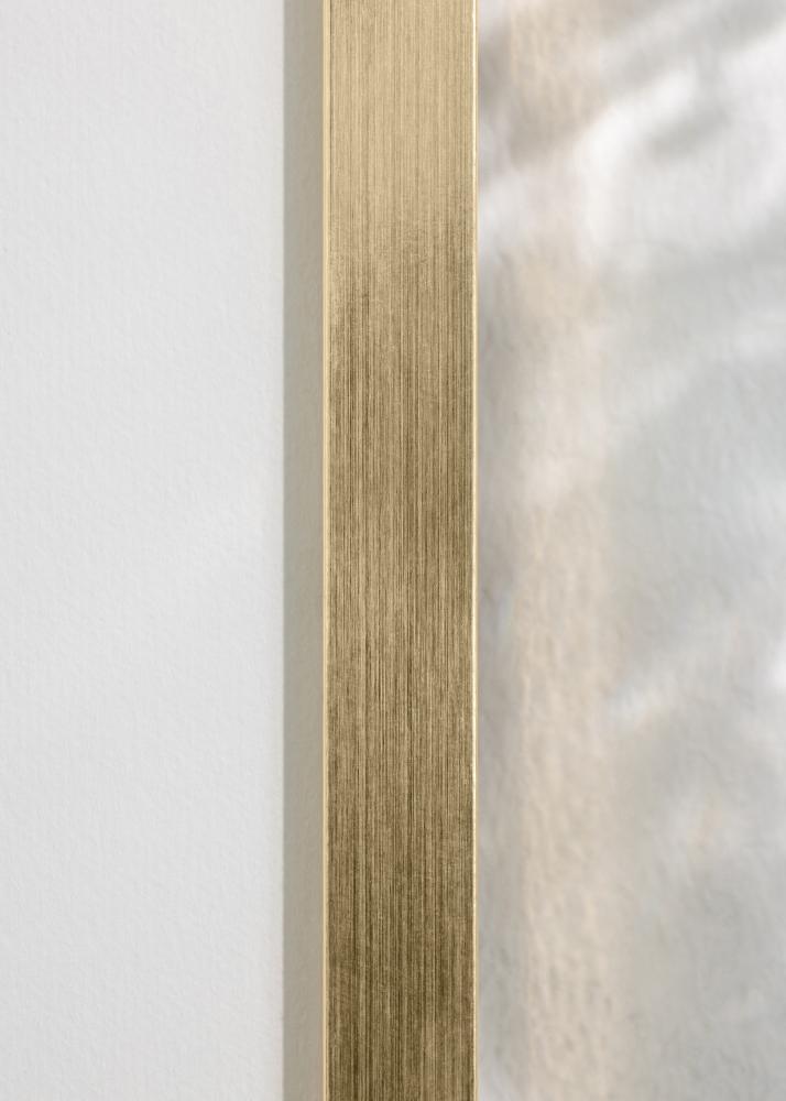 Raam Trendy Akruulklaas kuldne 50x60 cm