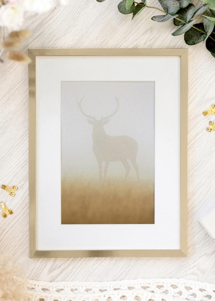 Raam Trendy Akruulklaas kuldne 50x60 cm