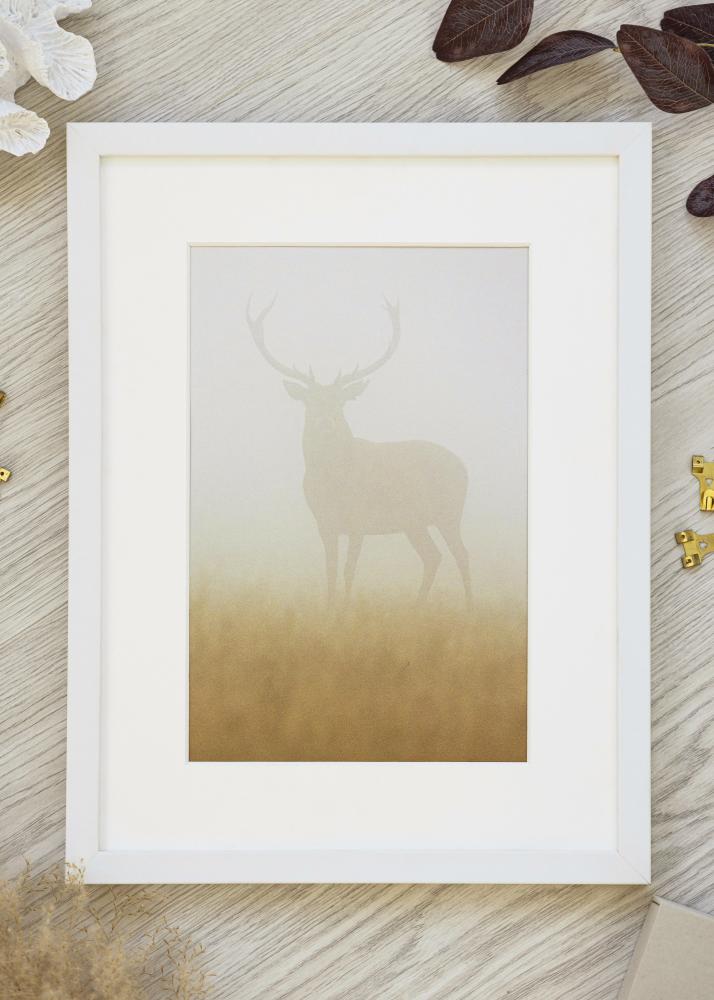 Valge pildiraam lai 42 x 59,4 cm (A2)