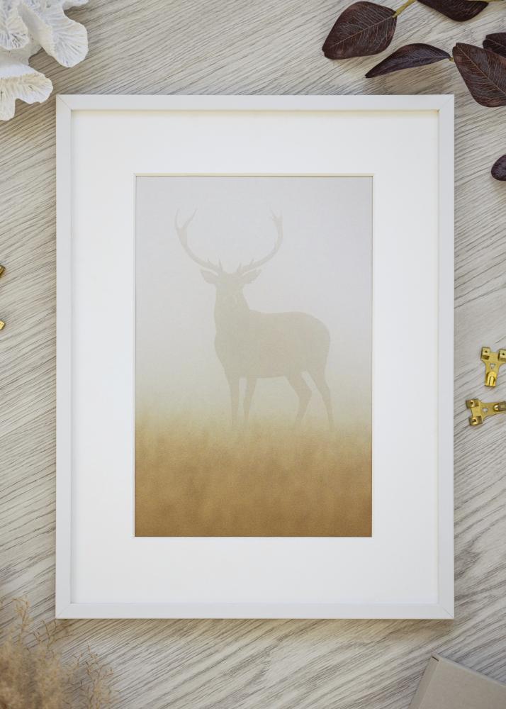 Valge pildiraam kitsas 21 x 30 cm