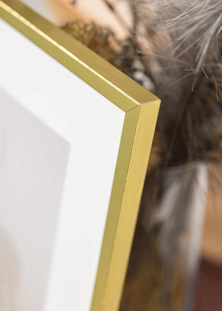 Kuldne pildiraam kitsas 29,7 x 42 cm (A3)