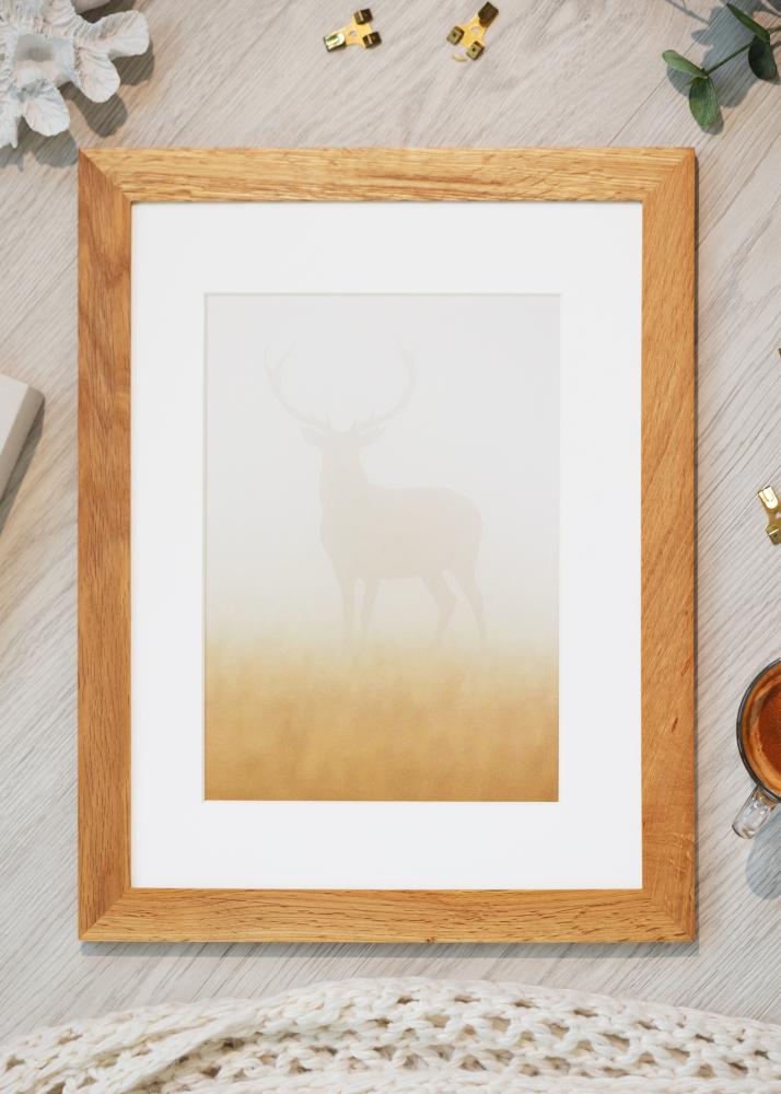 BGA Select Wide Akruulklaas Tamm 60x80 cm