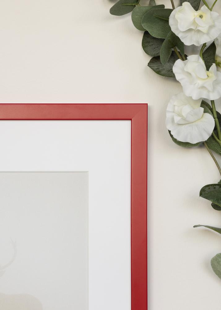 Raam Kent Akrüülklaas Punane 29.7x42 cm (A3)