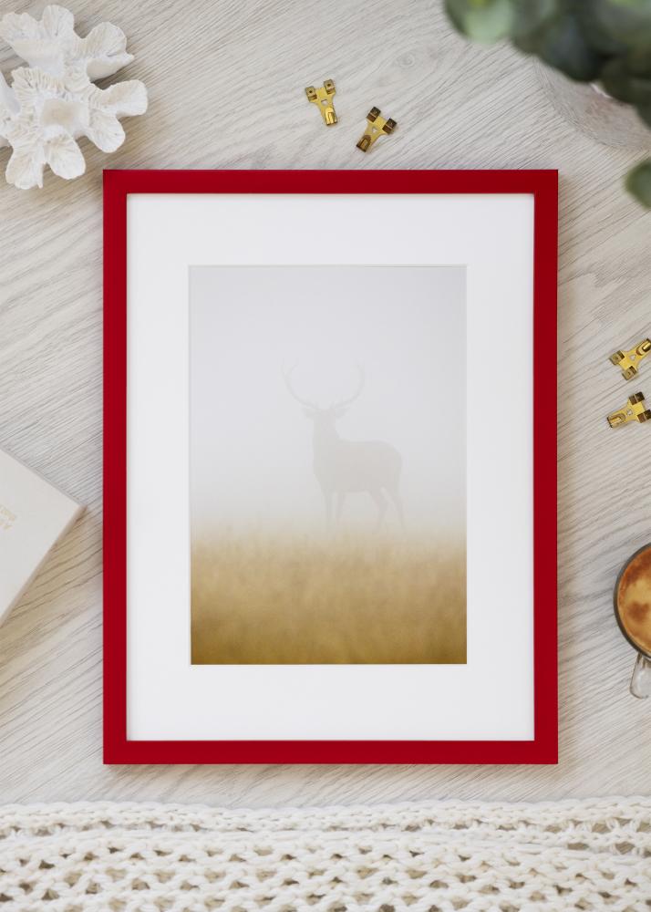 Raam Kent Akrüülklaas Punane 29.7x42 cm (A3)